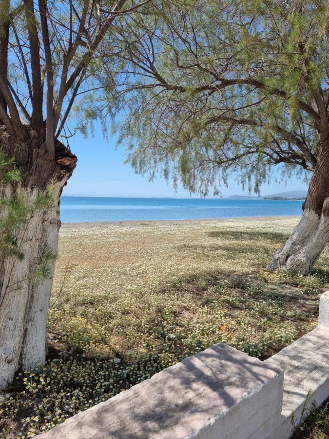 To Kyma Aparthotel Amarynthos Eksteriør bilde